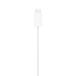 Cable de carga magnética rápida con conector USB-C para el Apple Watch (1 m) - Apple